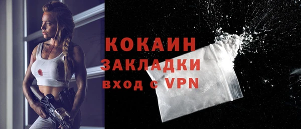 индика Иннополис