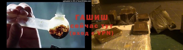 индика Иннополис