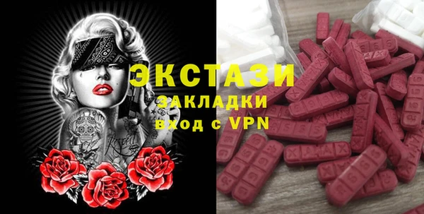 индика Иннополис