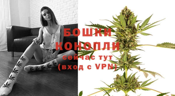 индика Иннополис
