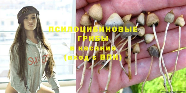 MDMA Каменногорск