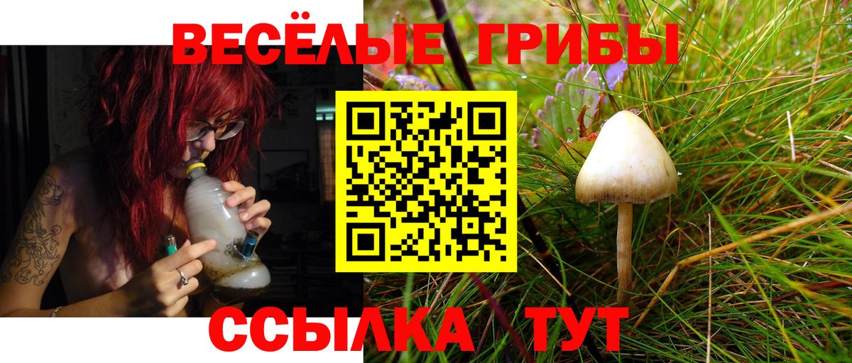 купить   Вход с VPN  Октябрьский  Галлюциногенные грибы прущие грибы  Псилоцибиновые грибы Psilocybe 