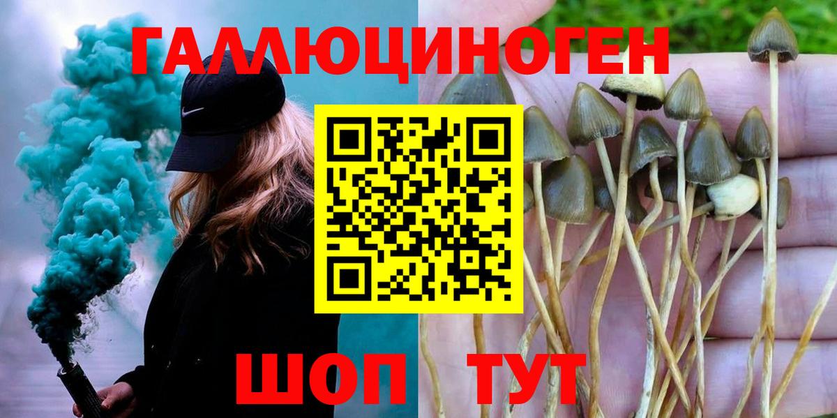 Псилоцибиновые грибы Psilocybine cubensis  Октябрьский 